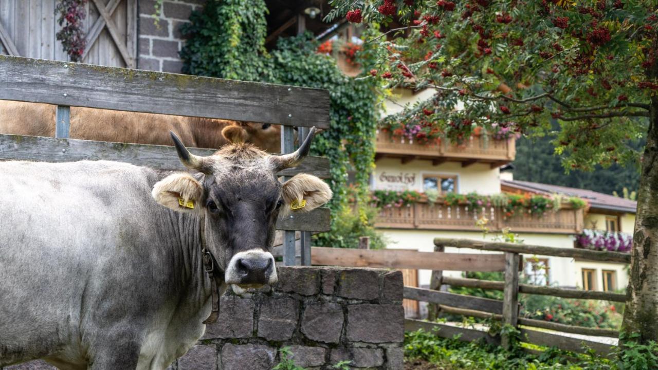 Ganoihof Vakantieboerderij