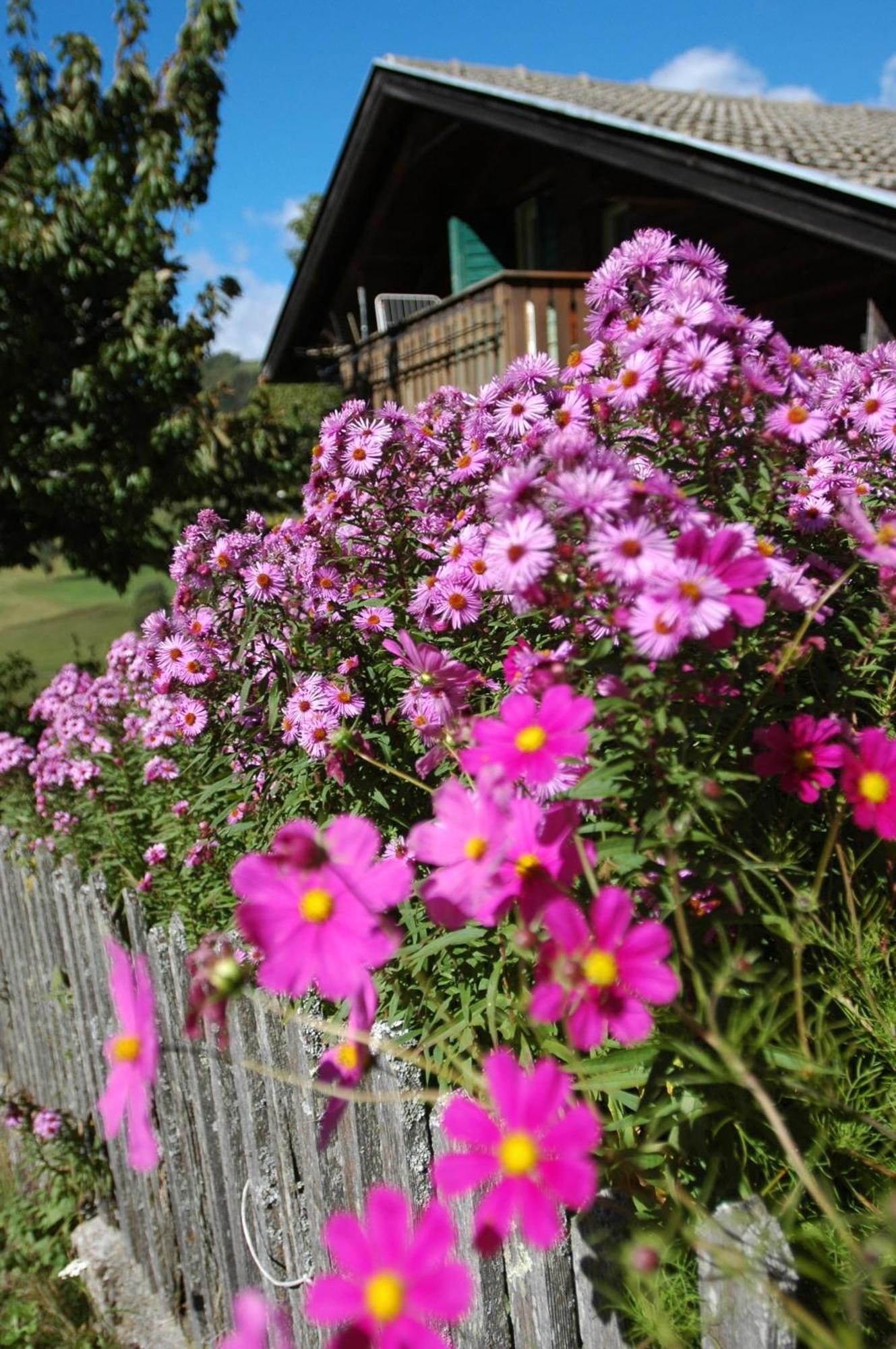 Ganoihof Vakantieboerderij Funes (Bolzano)